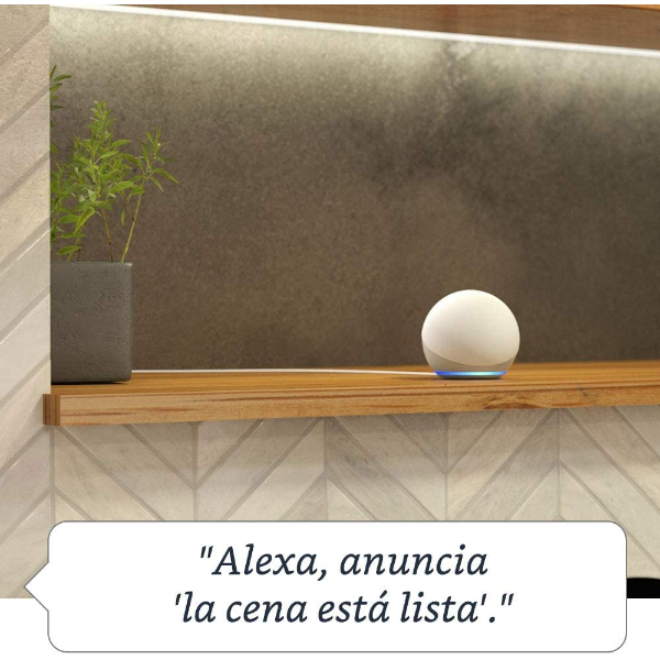 Imagen 7