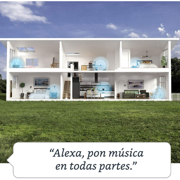Imagen 6