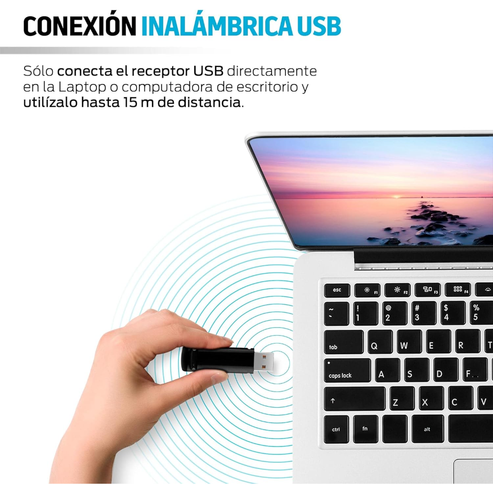 Imagen 6