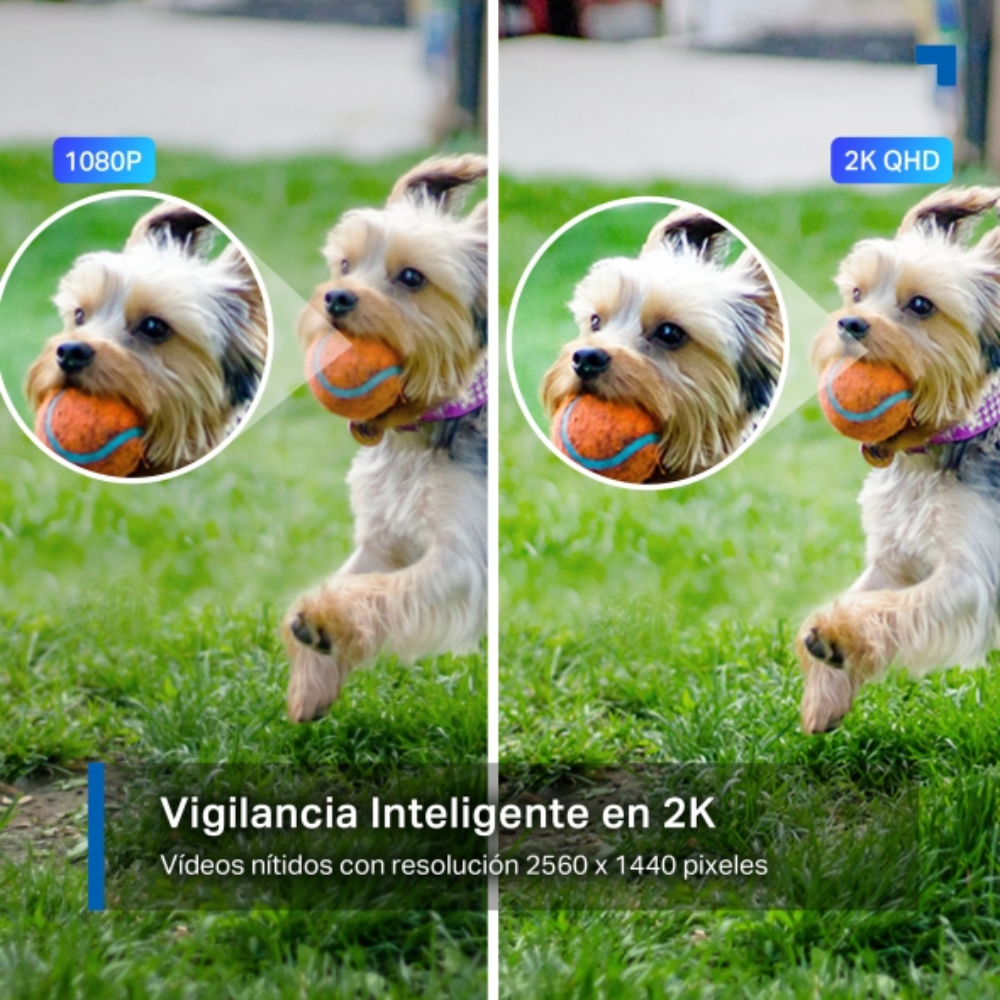 Imagen 4